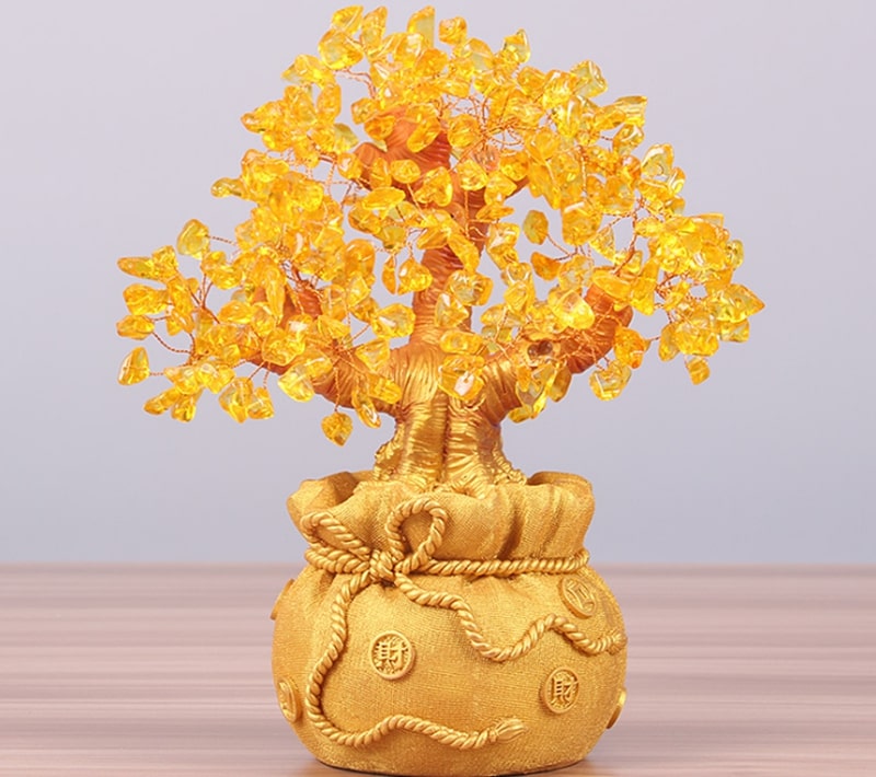 quà tết phong thủy cây mini mang ý nghĩa may mắn